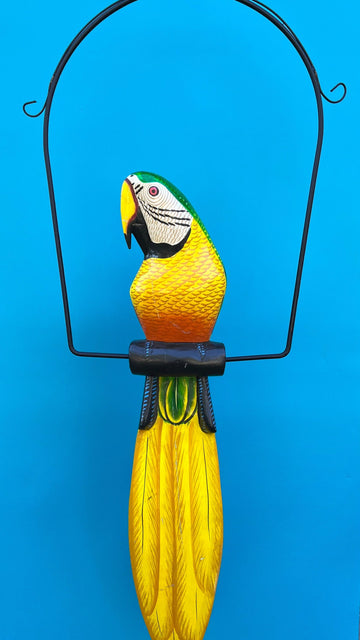 Exotic Bird