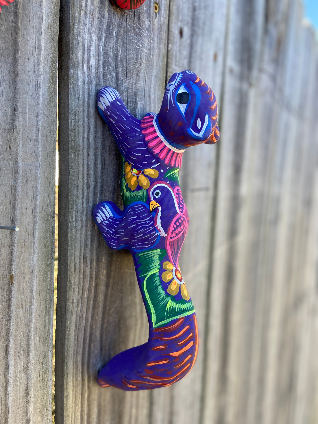 Painted Squirrel