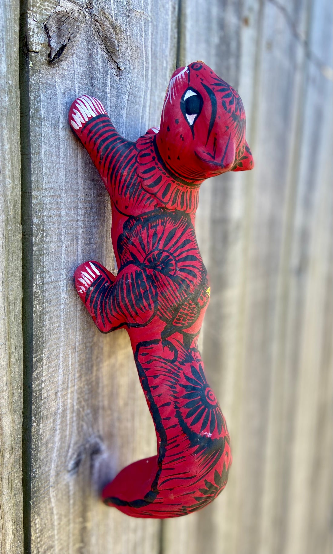 Painted Squirrel