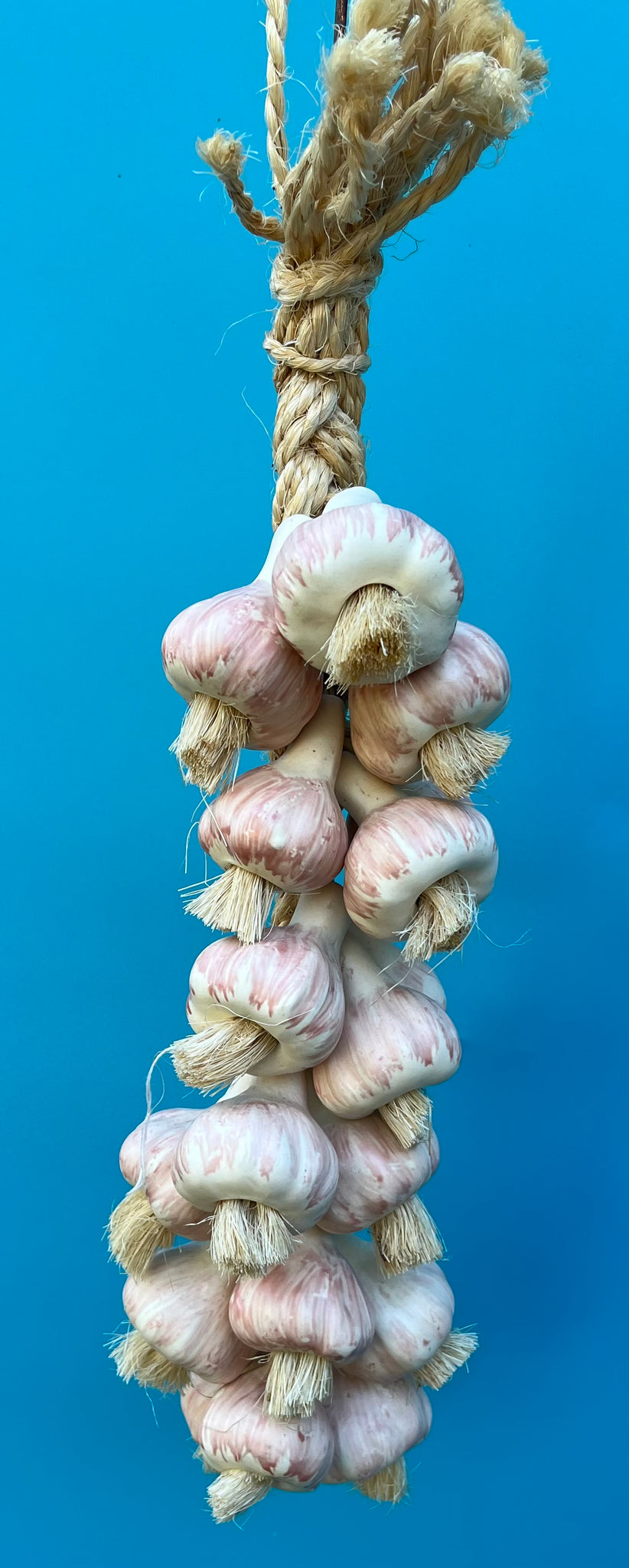 Imports Hanging Garlic