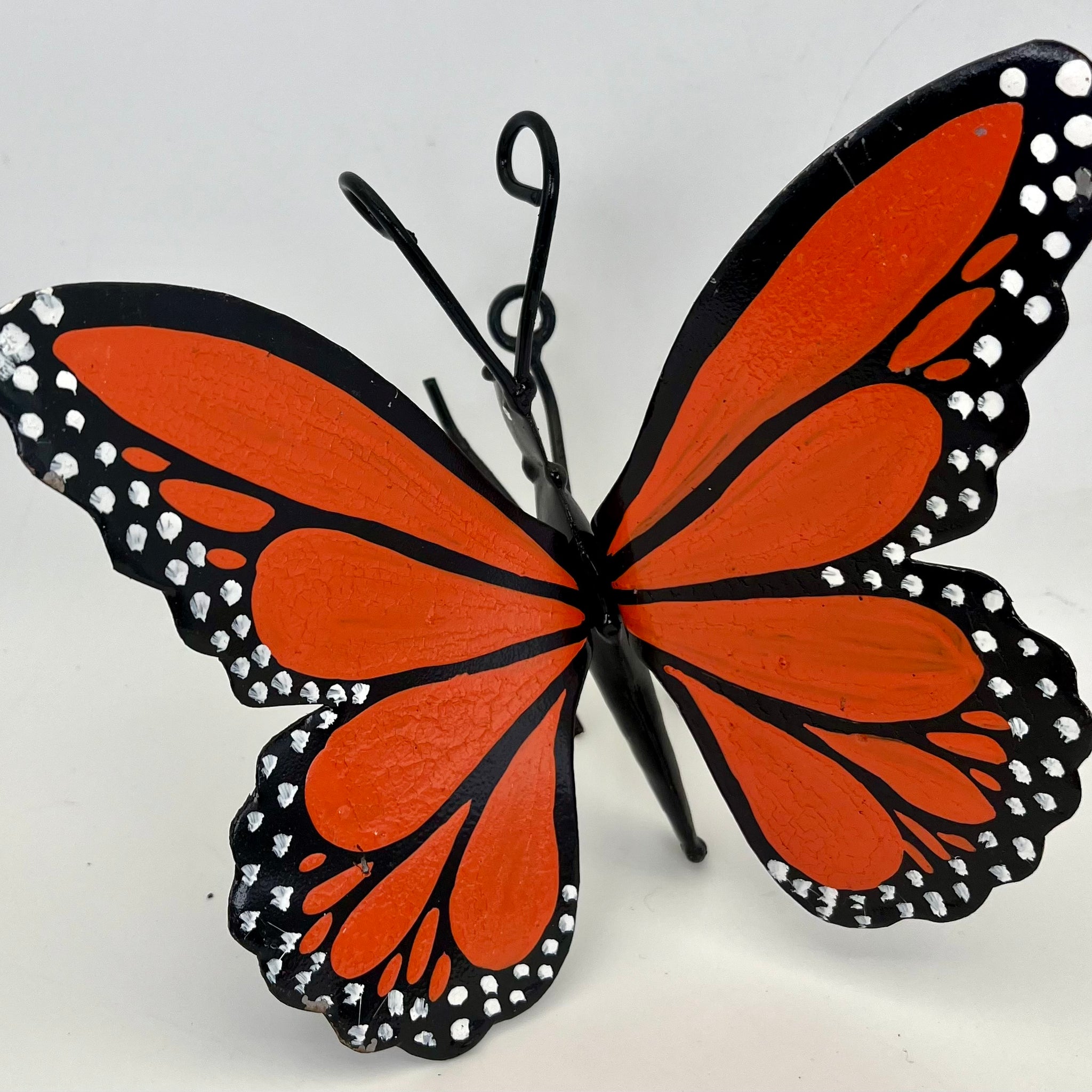 Imports Wall  Butterfly Orange
